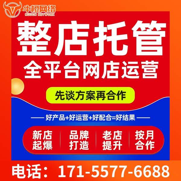 神木电商代运营